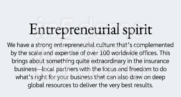 Entrepreneurial spirit We have a strong entrepreneurial culture that s complemented by the scale and expertise of ove   