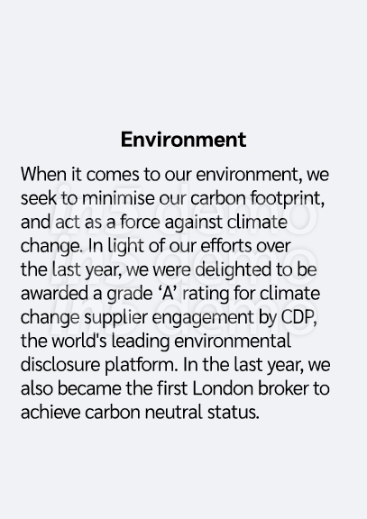   Environment When it comes to our environment, we seek to minimise our carbon footprint, and act as a force against    